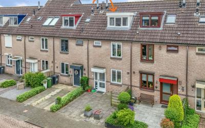 Boterbloem 5