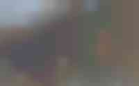 Touwbaan 5