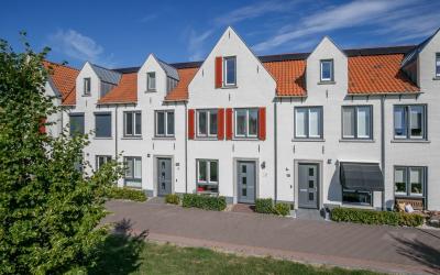 Kolibrie 8