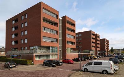 Van Naeldwi. 85