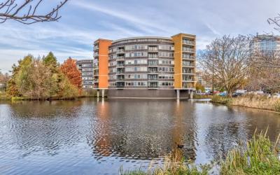 Lijstersing. 106