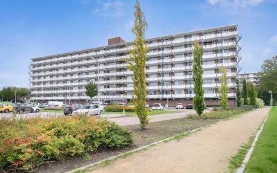 Merelhoven 81