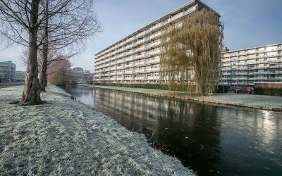 Alkenoord 12