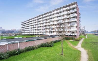 Alkenoord 118