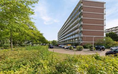 Alkenoord 309