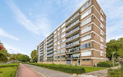 Wilgenhoek 43