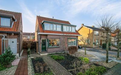 Goudenregen. 65