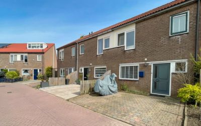 Houtsnede 16