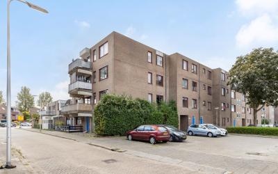 Ringspoor 152