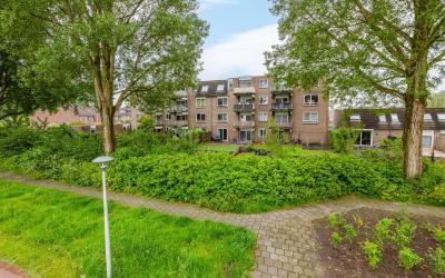 Ringspoor 117