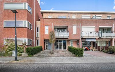 Priamsingel 137