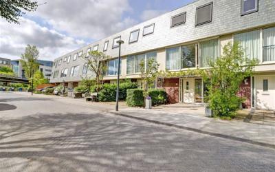 Priamsingel 45
