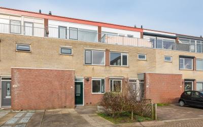 Linge 31