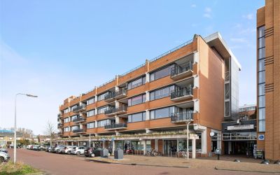 Dorrestein 102