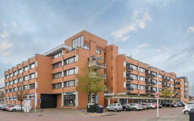Dorrestein 104