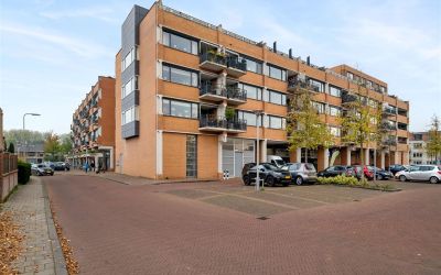 Dorrestein 81