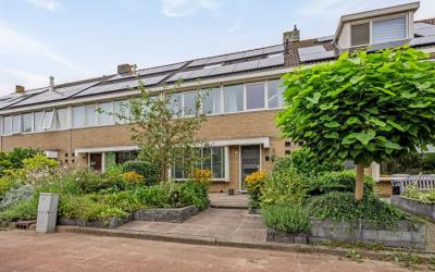 Schumannpad 5
