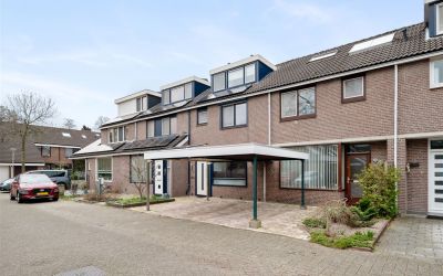 Zilvermos 18