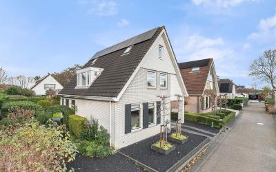 Oesterzwam 3