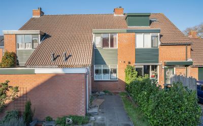 Zonnebloem 33
