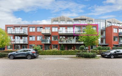 Anjerstraat 55