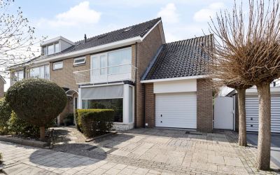 Goudenregen. 22