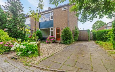 Goudenregen. 9