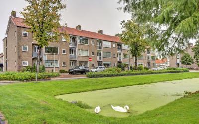 Van Eestere. 17