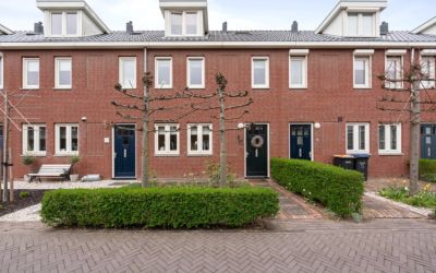 Schoener 7