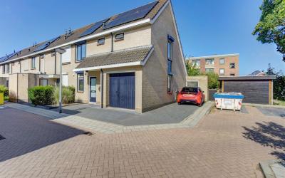 Willem Dree. 1