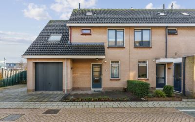 Willem Dree. 40