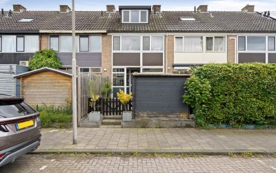 Groen van P. 11