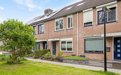 Zwanebloem 21