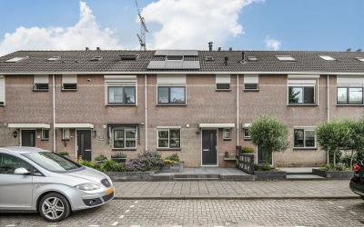 Roerdomp 21