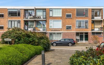 Pieter de H. 54