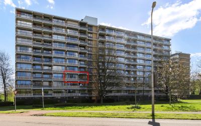 Seringenplantsoen 475