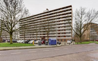 Seringenplantsoen 509