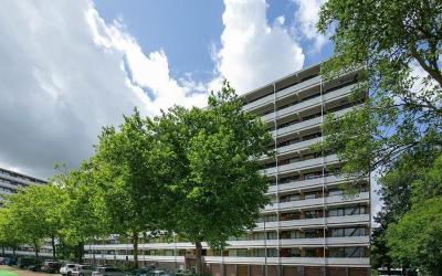 Seringenplantsoen 543