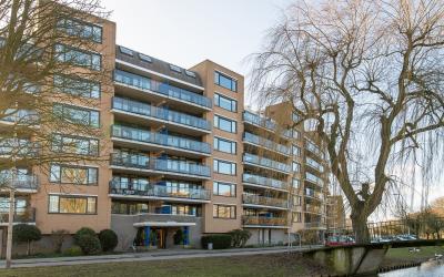 Lohmanpark 45
