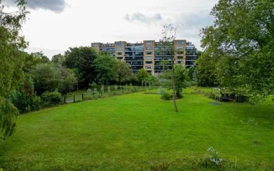 Lohmanpark 78
