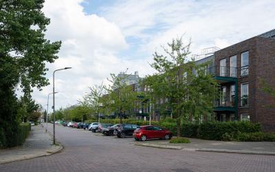Willem Land. 114