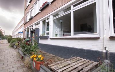 Mecklenburg. 67