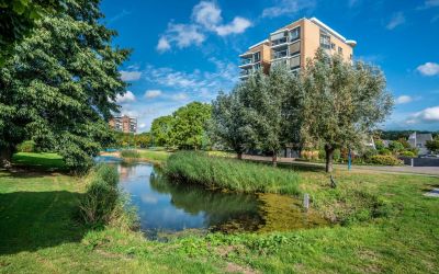 Erasmuspark 103