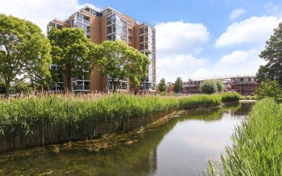 Erasmuspark 119
