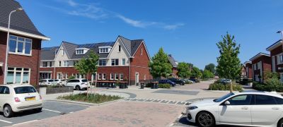 Westerdijks. 25