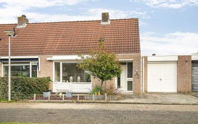 Steur 99