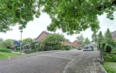 Pelikaan 2