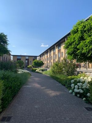 Dokhof 41