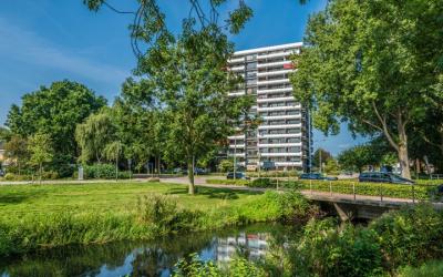 de la Reijstraat 504