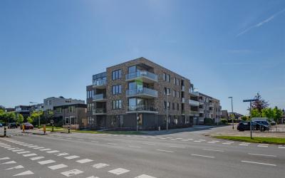 Gouwe 24
